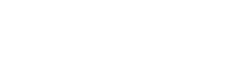 OptSolution for schools